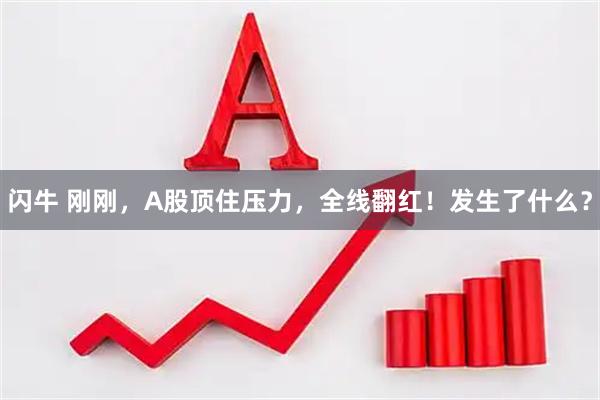 闪牛 刚刚，A股顶住压力，全线翻红！发生了什么？