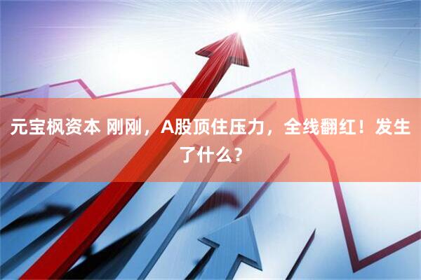 元宝枫资本 刚刚，A股顶住压力，全线翻红！发生了什么？